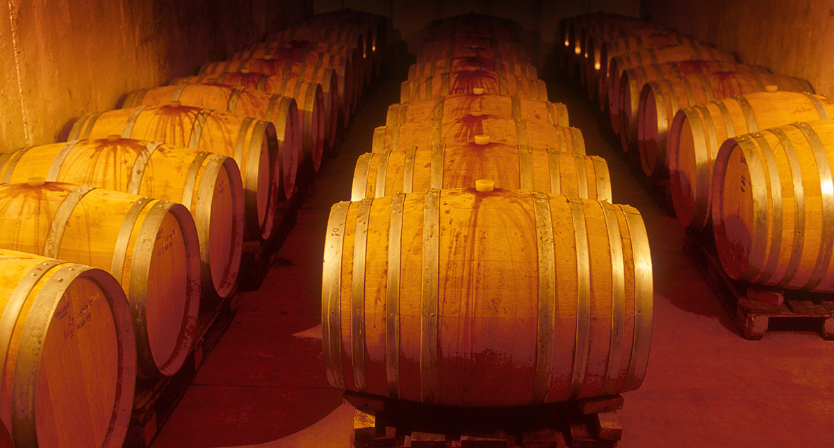 Wine barrels at Selva Capuzza