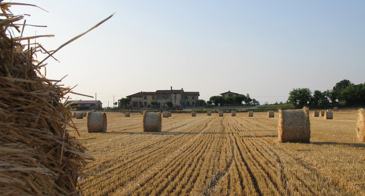 Farmlands nearby Selva Capuzza