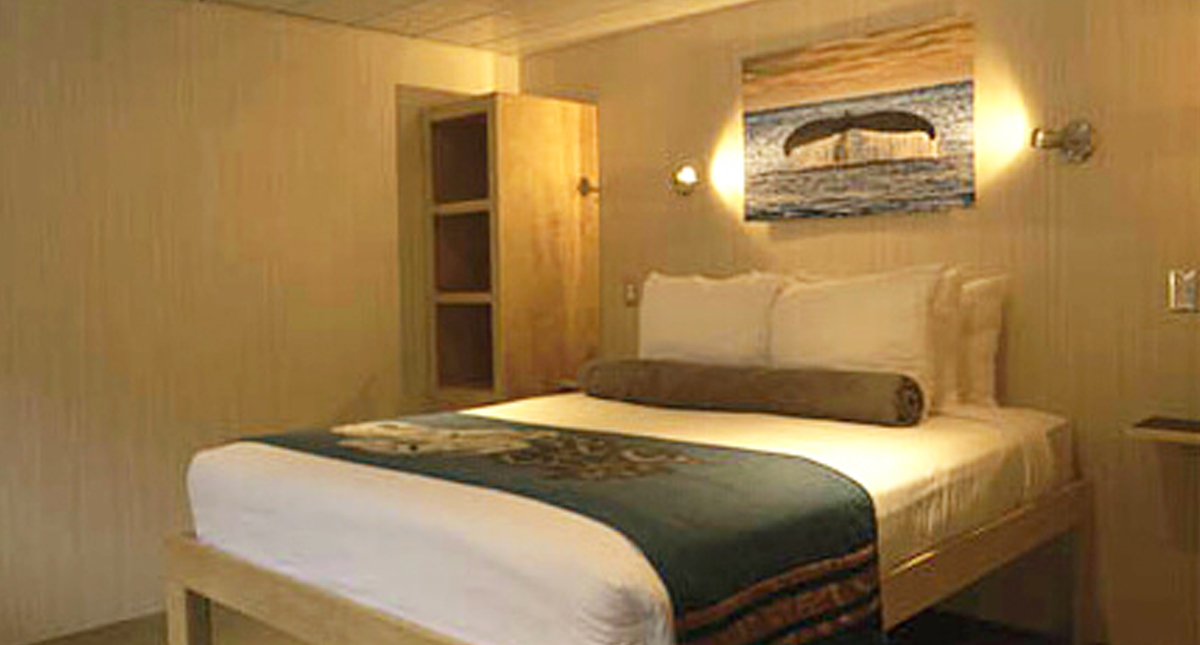 Chichagof Dream Stateroom Category Deluxe Suite