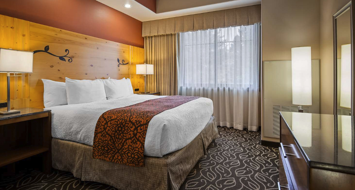Ivy Inn & Suites guest room