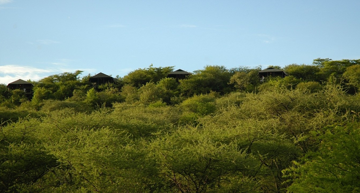 Kirawira Serena Camp view of the grounds