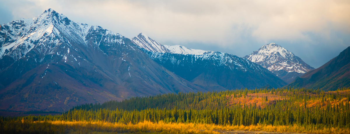 Denali at sunset