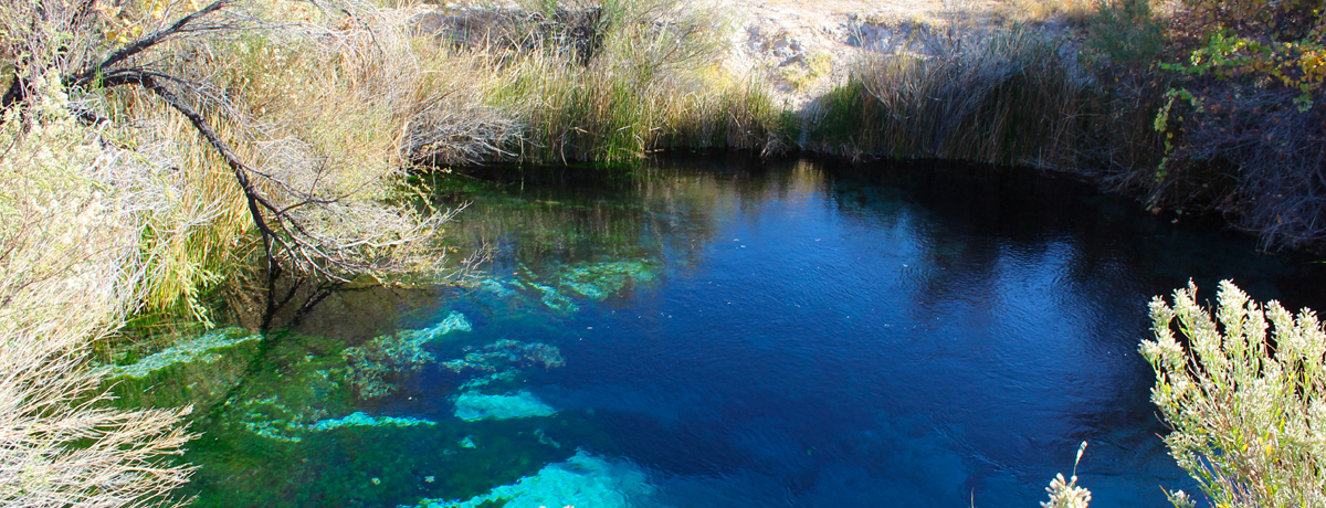 Blue thermal pool at Ash Meadows National Wildlife Refuge
