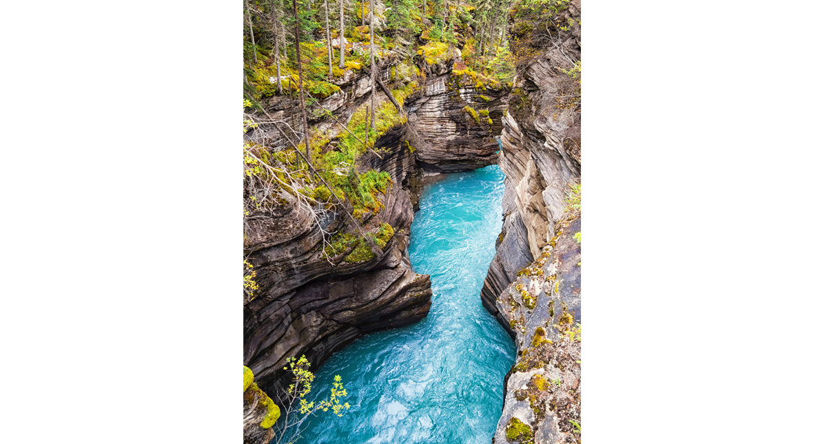 Aerial view of Maligne Canyon with flowing blue waters