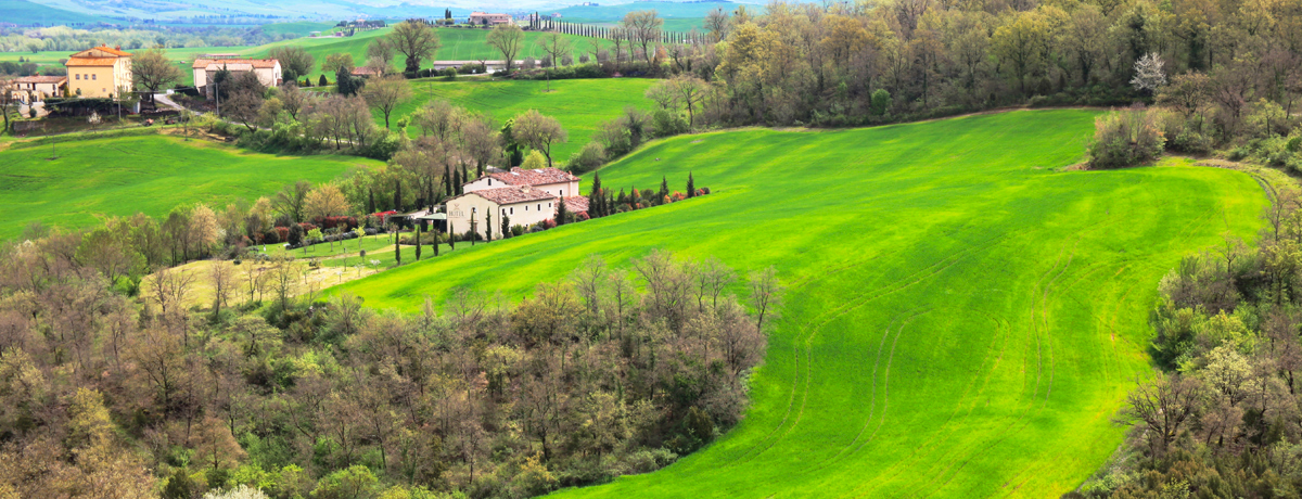 Lush green landscape of Chianti's rolling hills