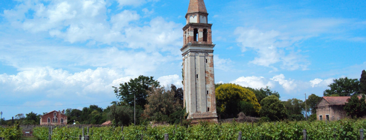 Tower at Venissa Winery