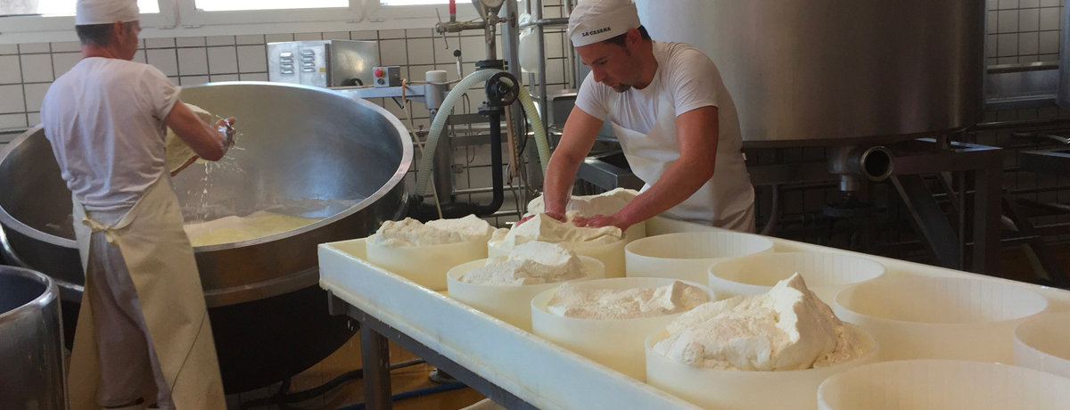 La Casara cheese makers during production tour