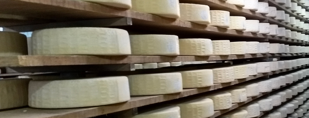 Shelves of freshly made cheese at La Casara in Roncà