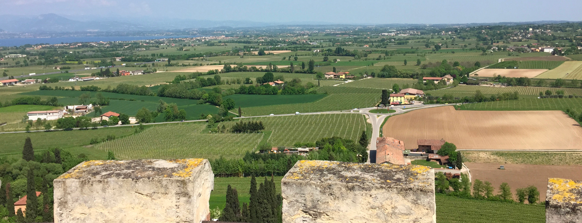 View of the countryside from the top of San Martino Tower