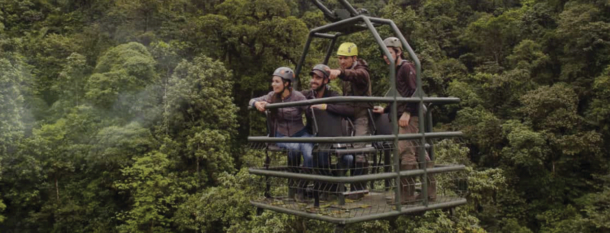 Guests traveling over the rain forest during a canopy tour