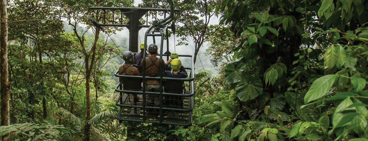 Guests embarking on a canopy tour