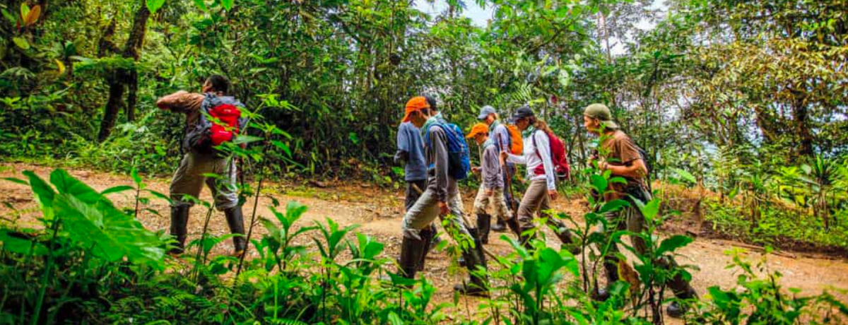 Guests backpacking through Mashpi Forest