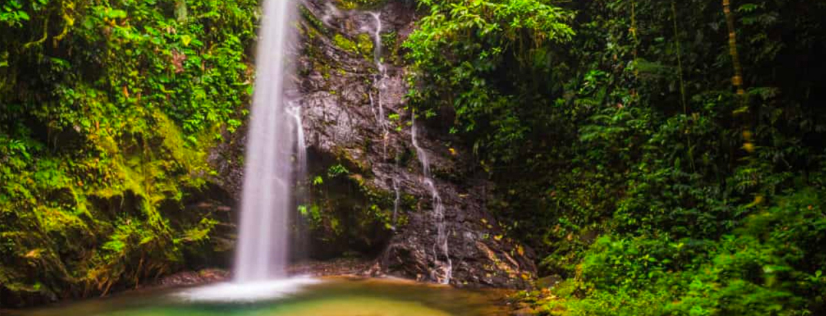 Mashpi Forest waterfall