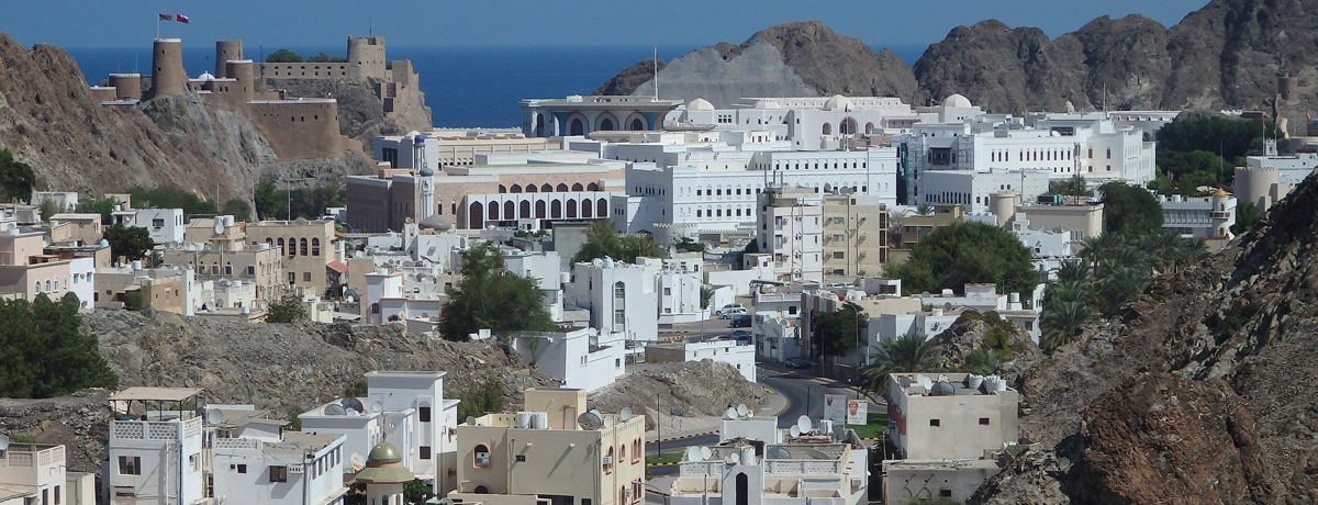 Aerial view of Muscat cityscape