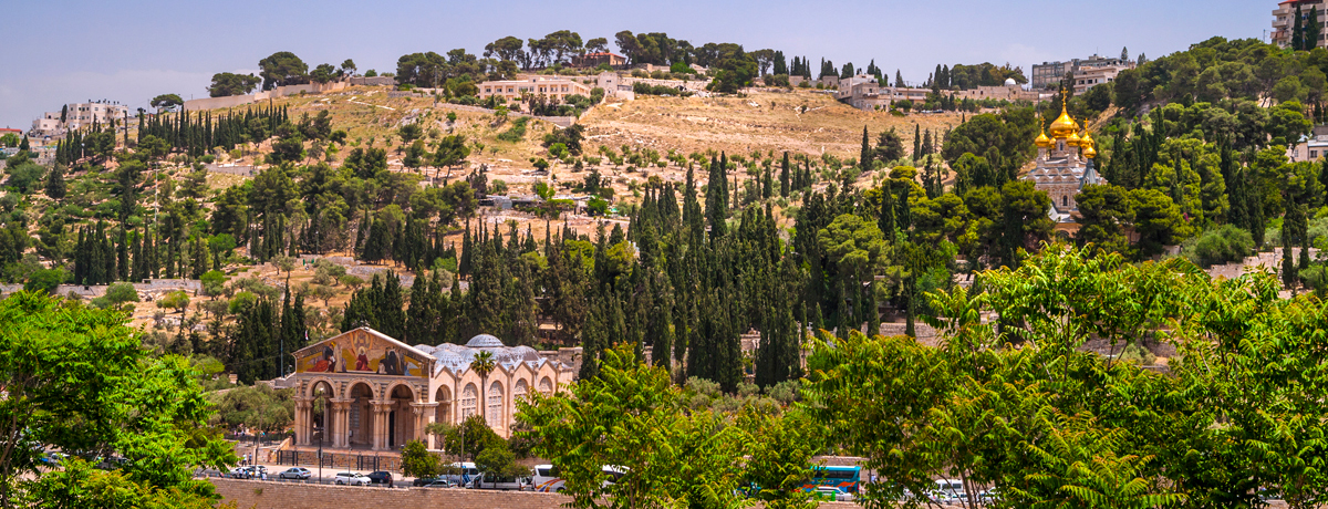 View on Mount of Olives in Jerusalem