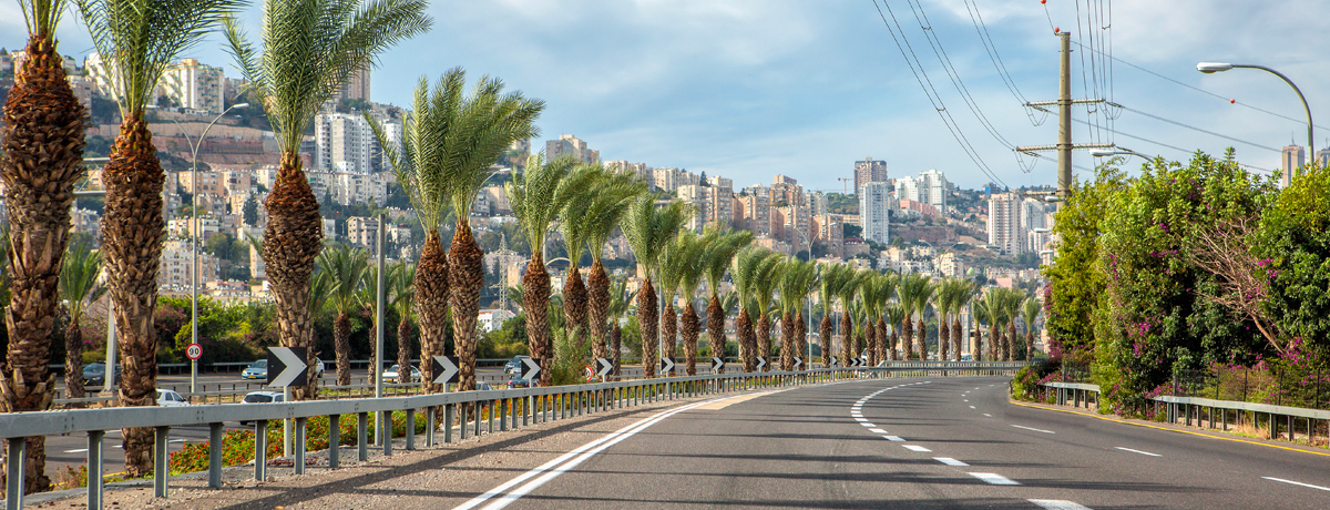A picturesque palm tree-lined road leading to the city of Haifa