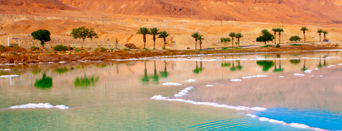 Dead Sea seashore with palm trees and mountains in background