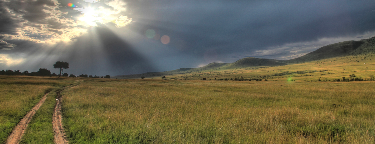 Safari trail through Maasai Mara under cloudy skies