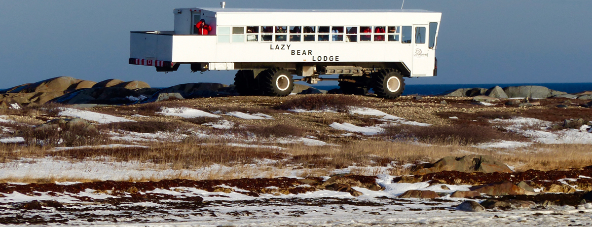Lazy Bear Lodge's Arctic Crawler bus out on tour