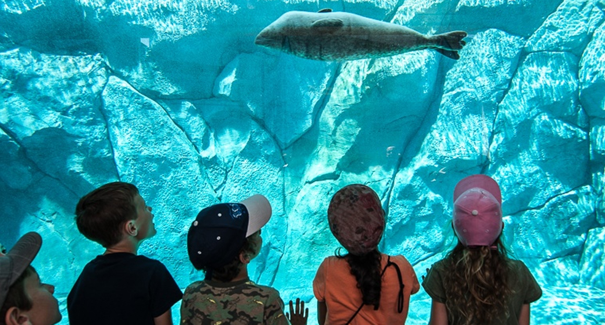 Children watching fish at Assiniboine Park Zoo