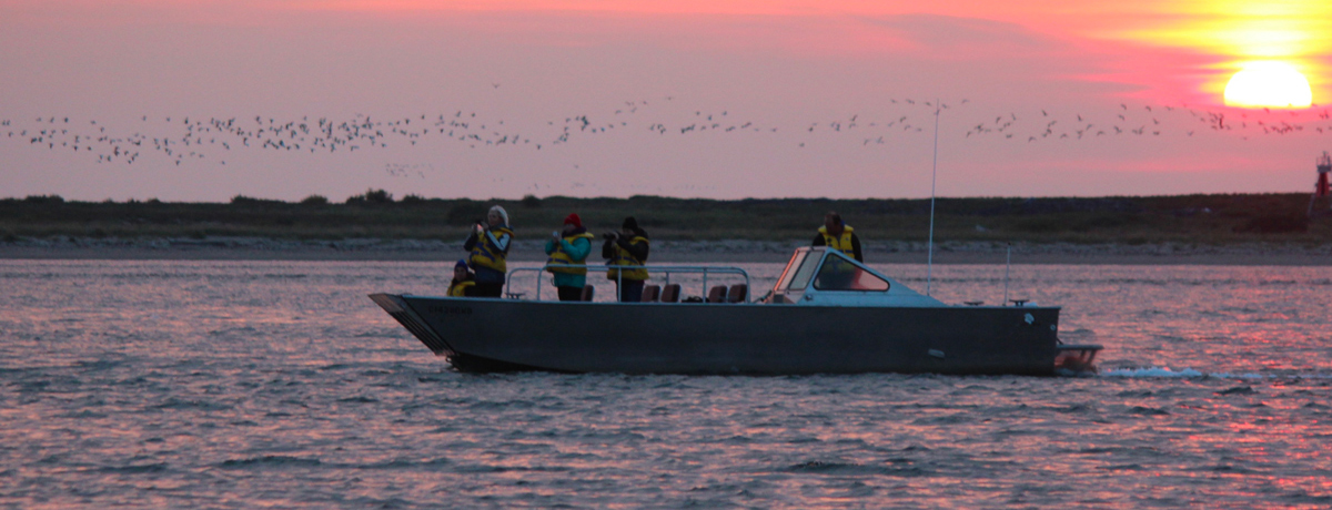 Boat cruising through Hudson Bay at sunset