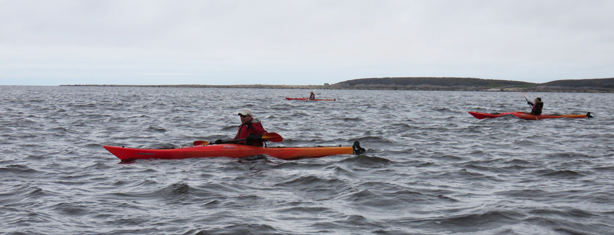 Guests kayaking on Hudson Bay