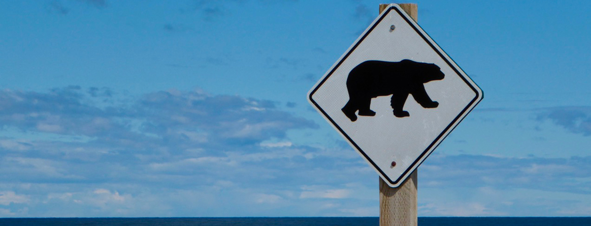 Polar bear crossing sign