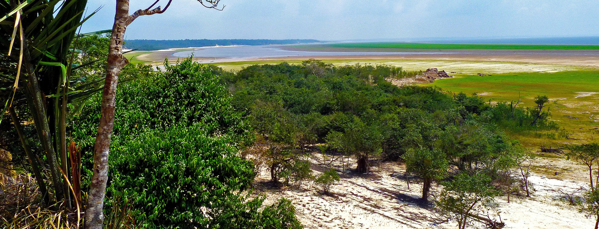 Amazon River panorama