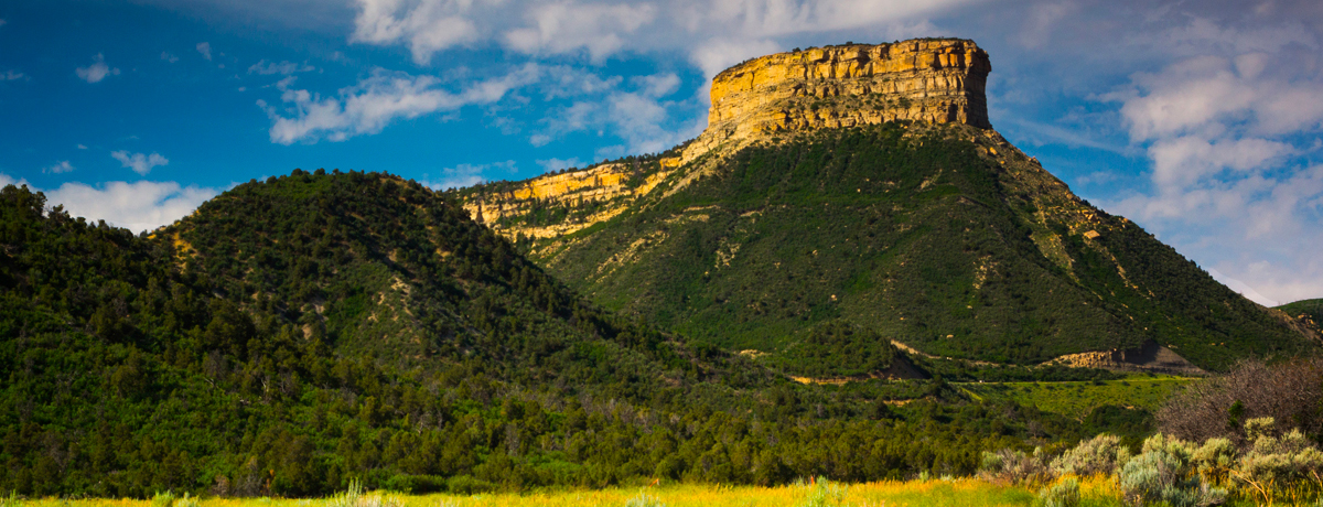 Lush green cliffs in the sunlight at Mesa Verde National Park
