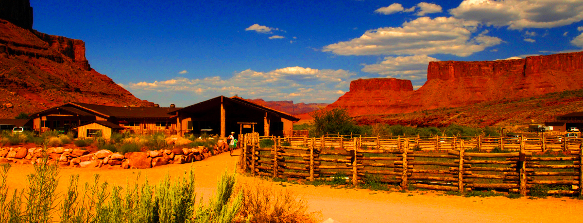 Desert landscape with red cliffs in the background