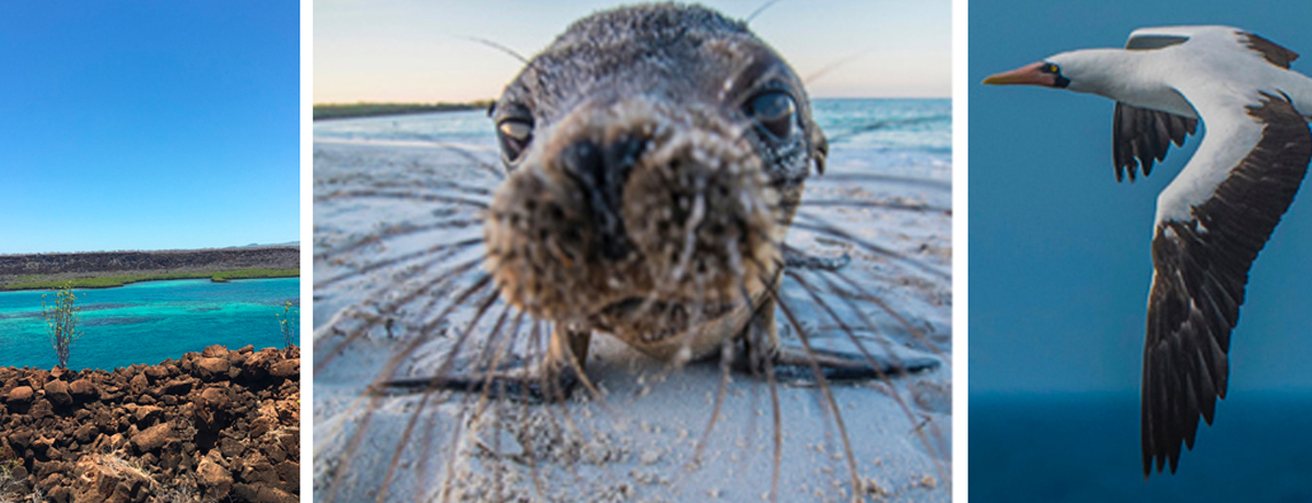 10 Reasons to Visit The Galapagos Islands