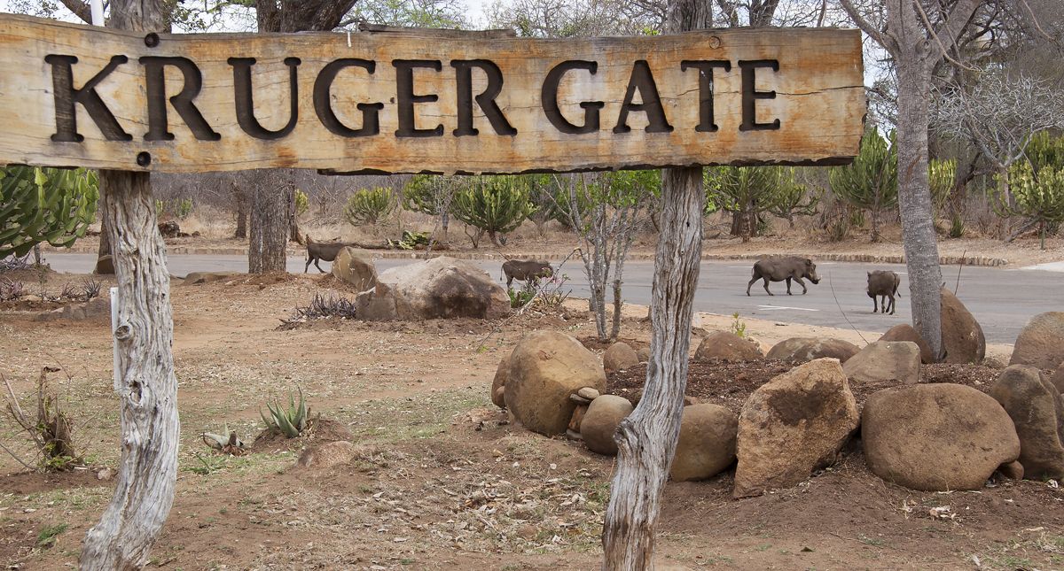 kruger gate