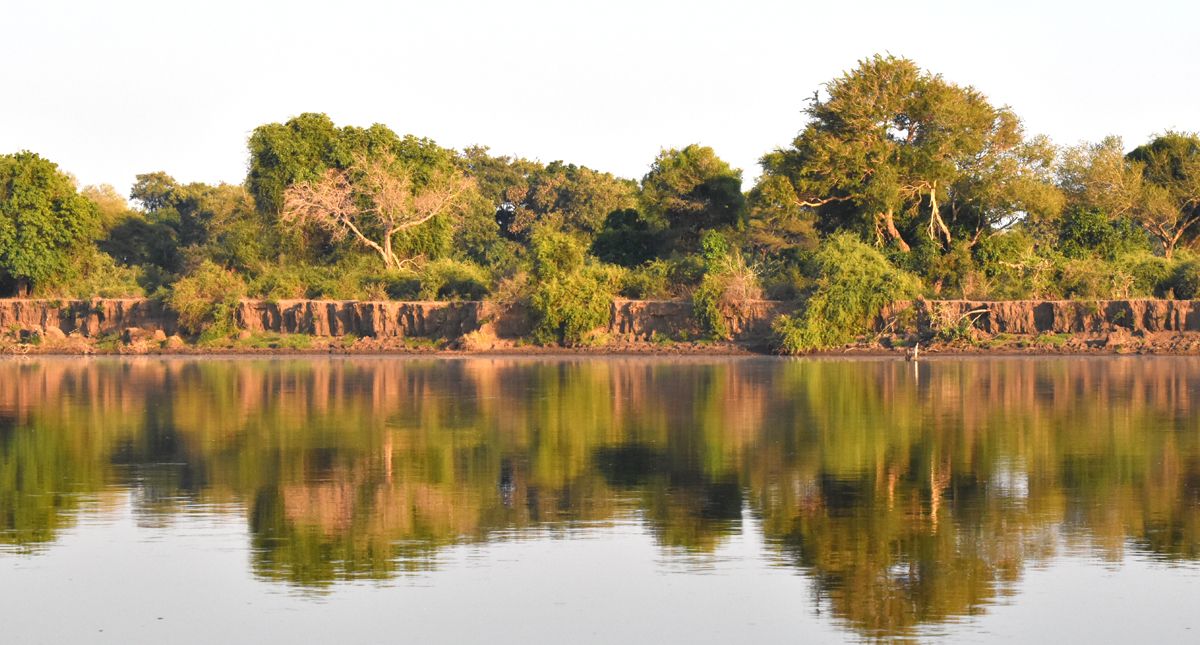 zambezi river