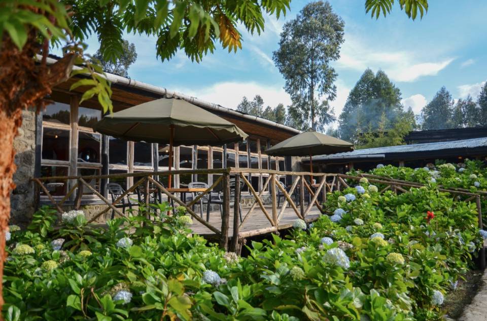 Mountain Gorilla View Lodge exterior patio and garden