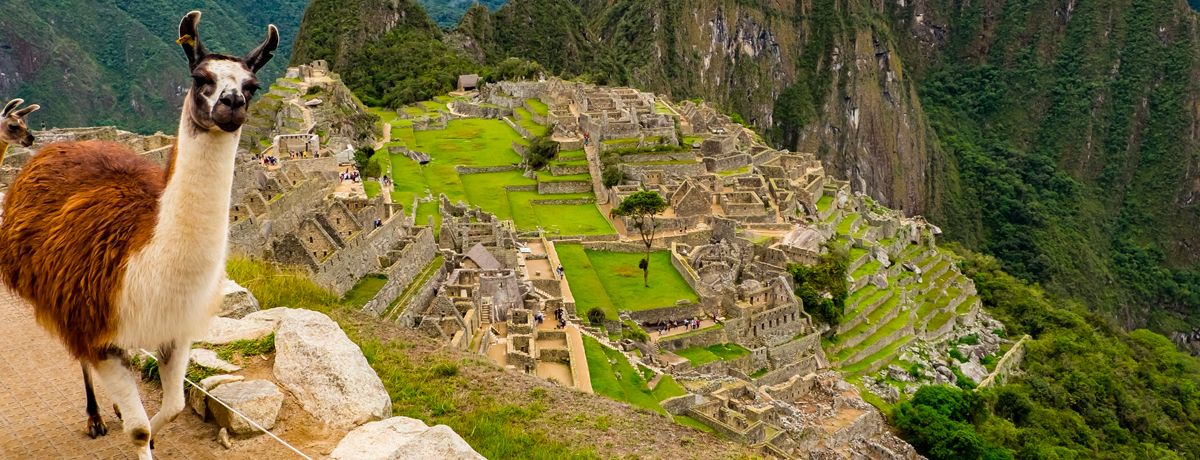 Single alpaca atop a tall cliff in Machu Picchu