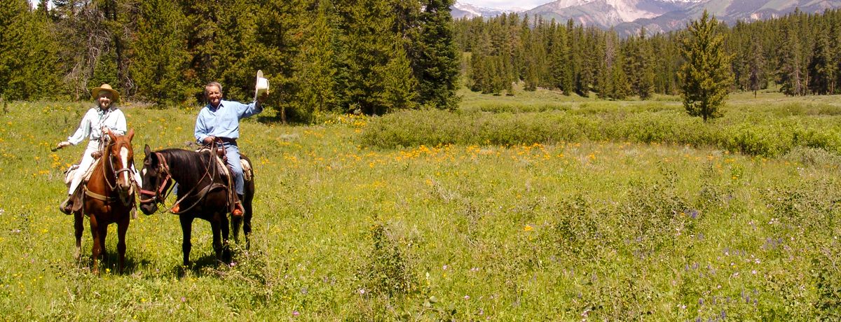 Guests riding on horseback through a meadow