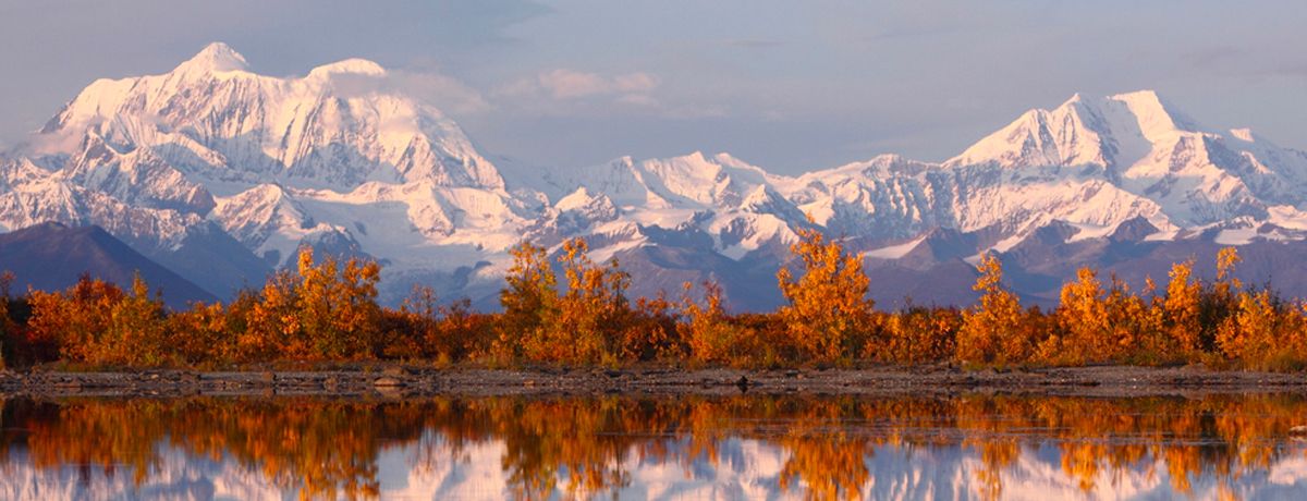 Denali Horizon