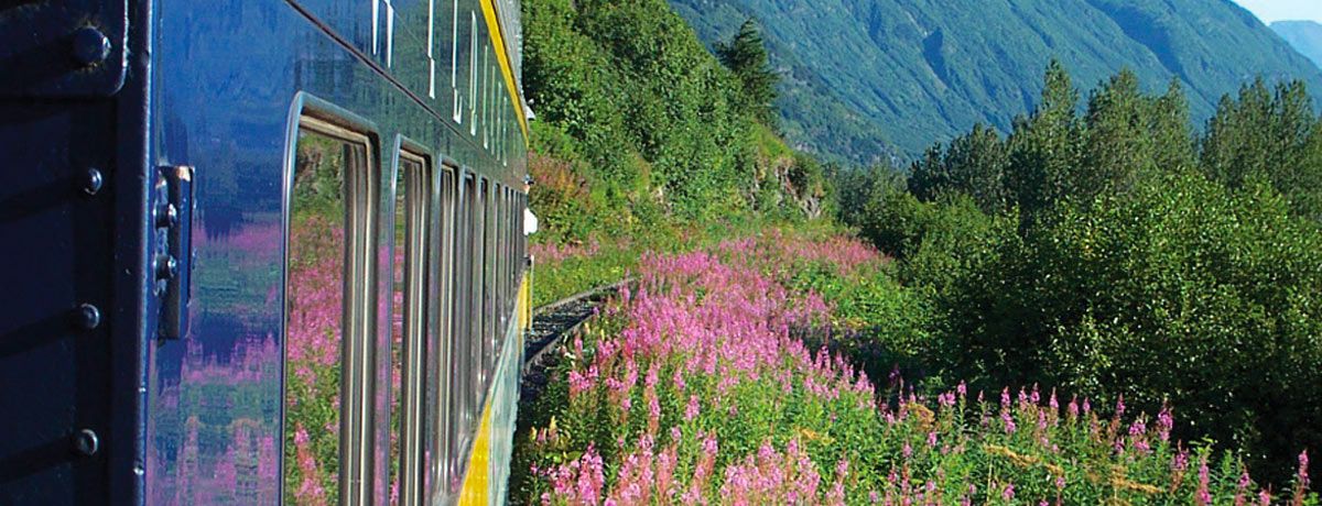 Close-up exterior view of Alaska Railroad Gold Star train