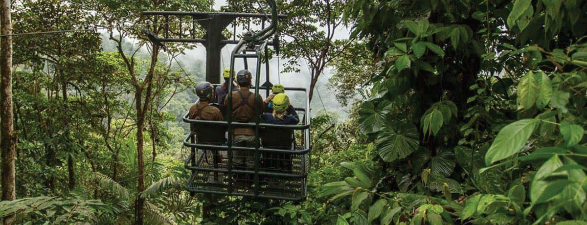 Guests embarking on a canopy tour