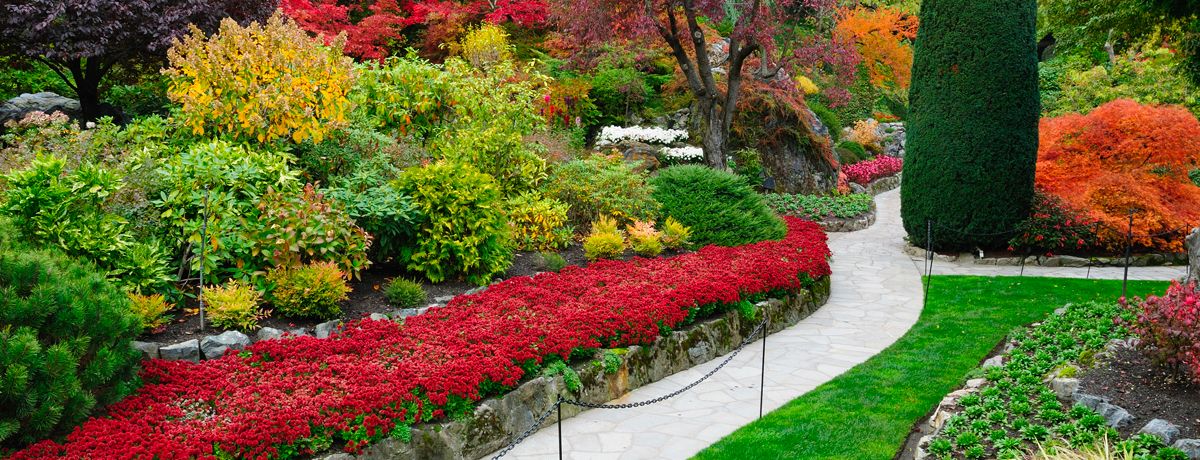 Colorful Butchart Gardens